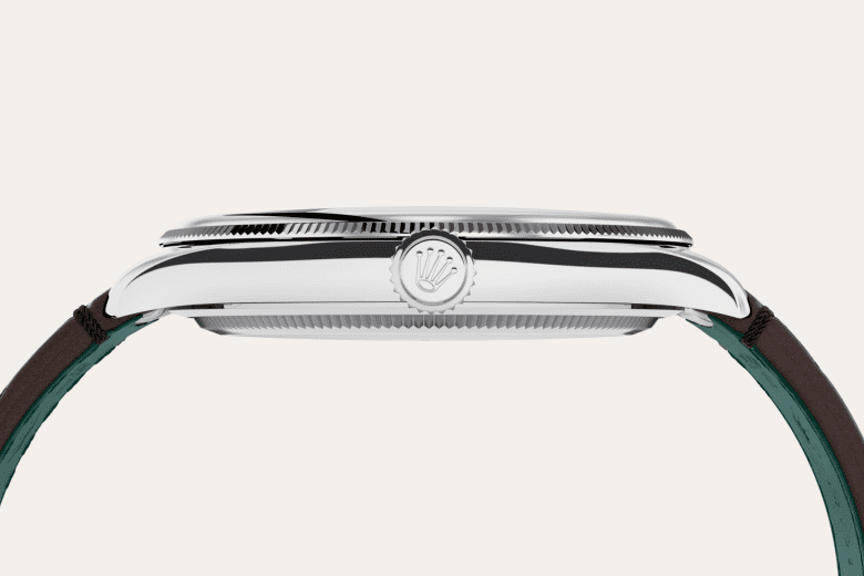 rolex 1908 em Platina, m52506-0002 - Pedrart